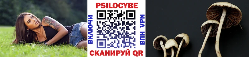 где можно купить наркотик  Минусинск  Галлюциногенные грибы Cubensis 